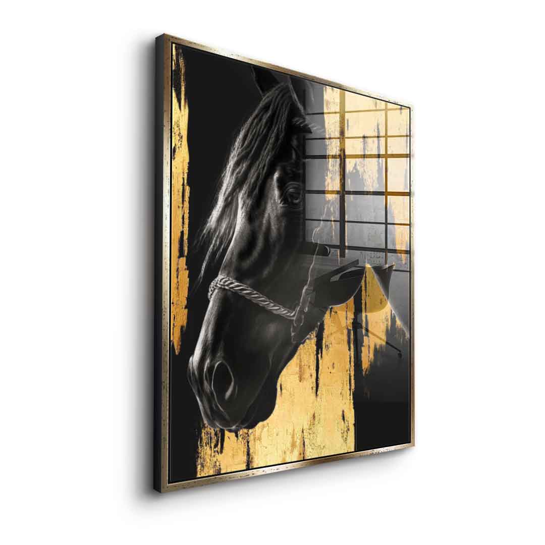 DOTCOMCANVAS 24K Feingold Bild Luxury Horse - 24K Feingold