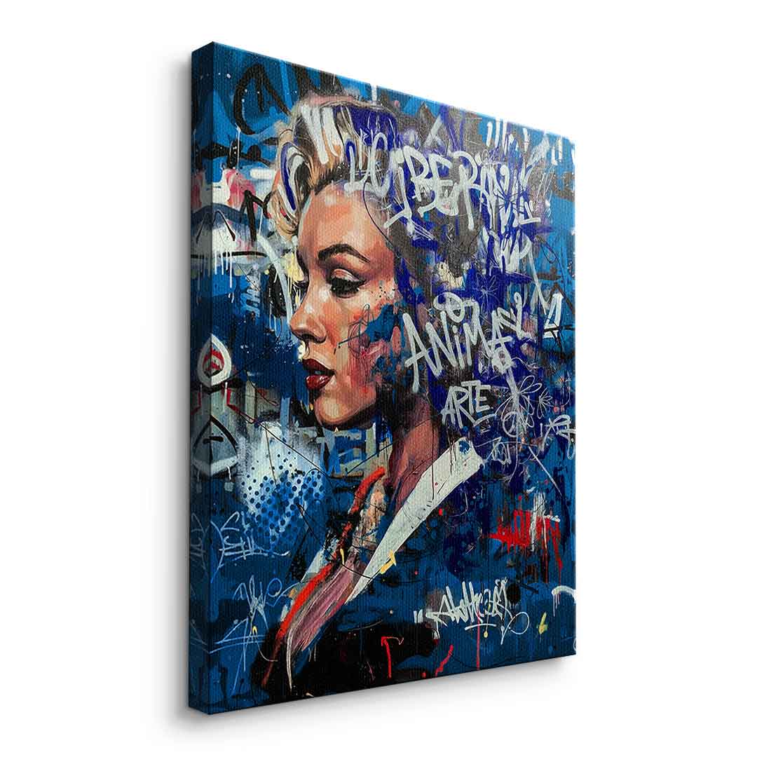 DOTCOMCANVAS Merlin Graffiti Leinwandbild Seitenansicht Ohne Rahmen