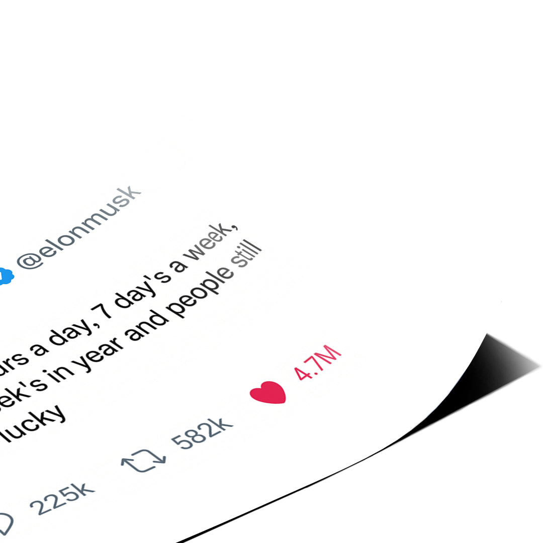 Eckdetail des Posters Twite Elon Musk