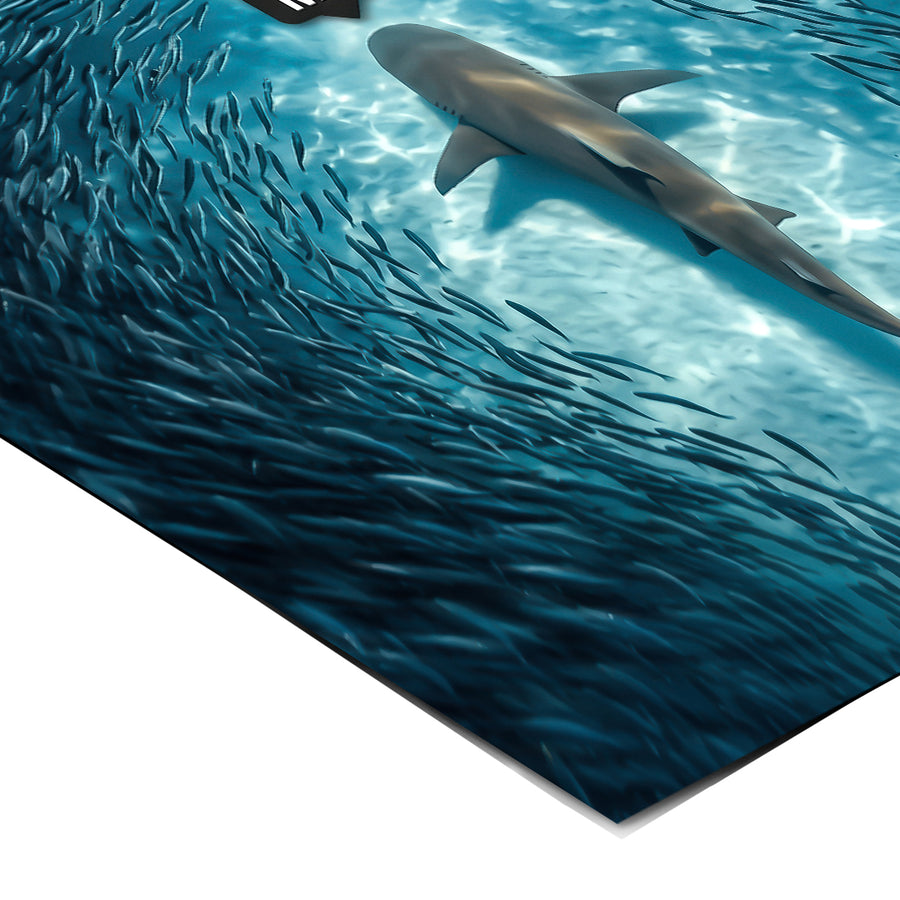 Eckdetail des Posters Me vs Haters