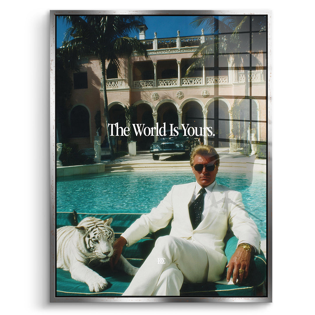 DOTCOMCANVAS Acrylglasbild The World Is Yours Tiger im silbernen Premium-Rahmen