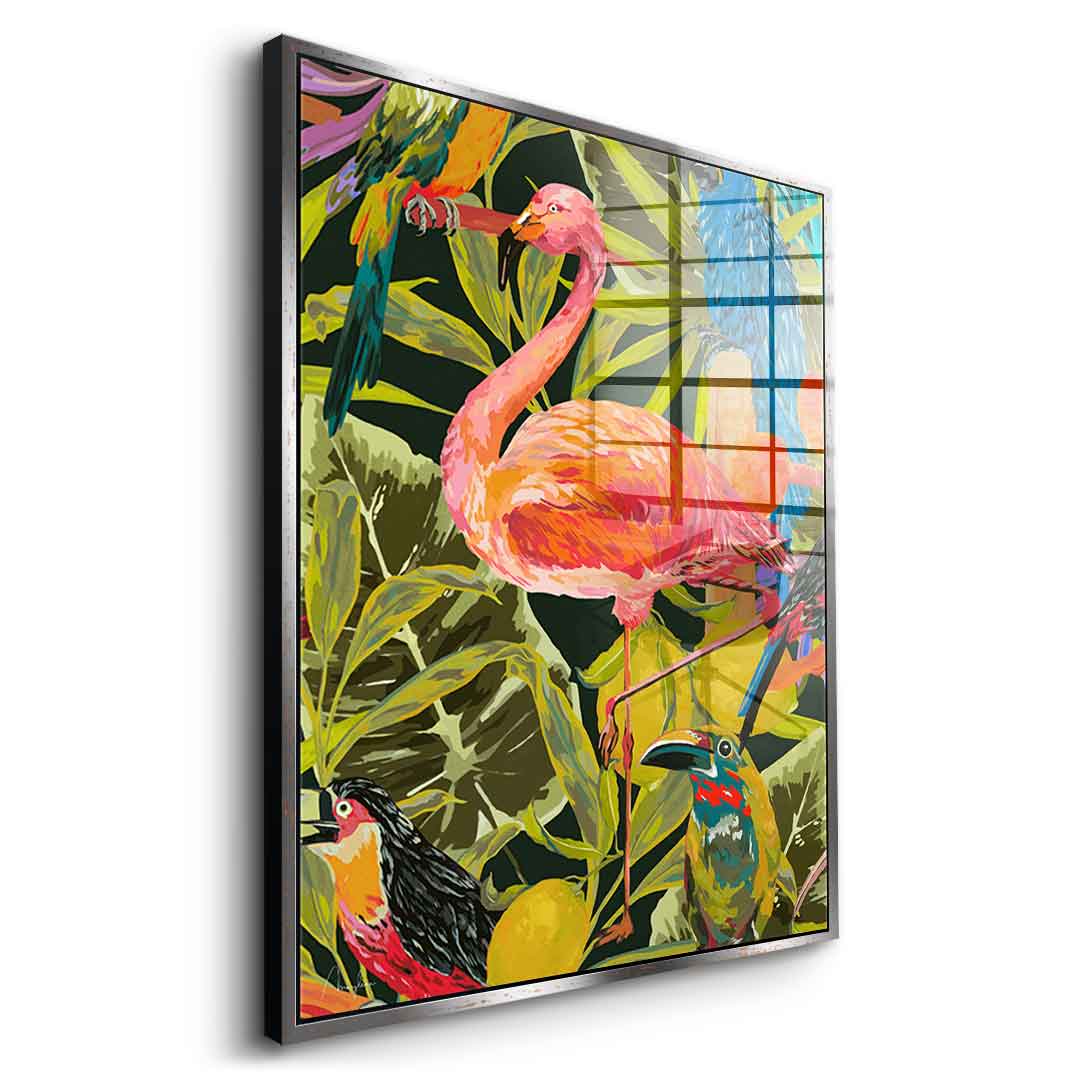 Dschungelflamingo - Acrylglas
