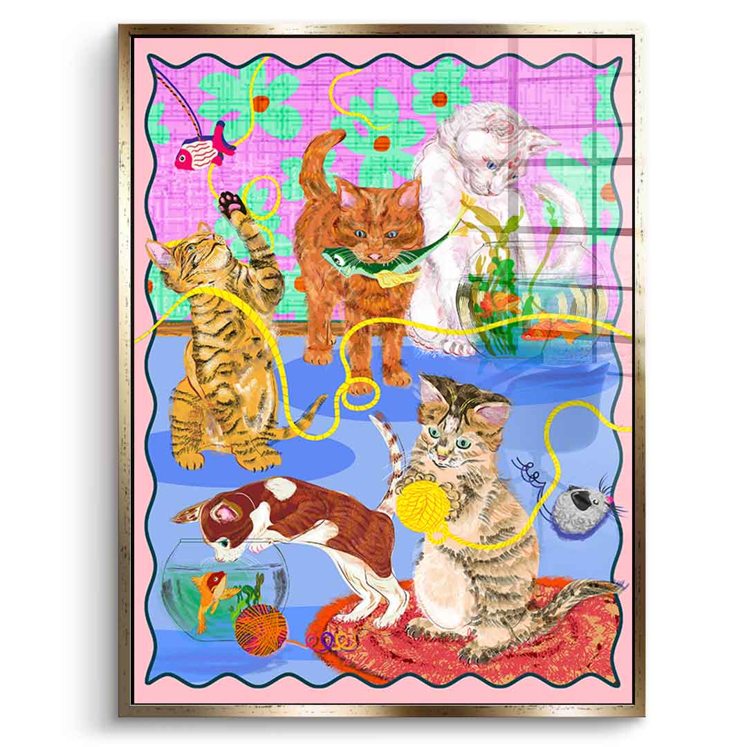 Kitten Playground - Pleksi