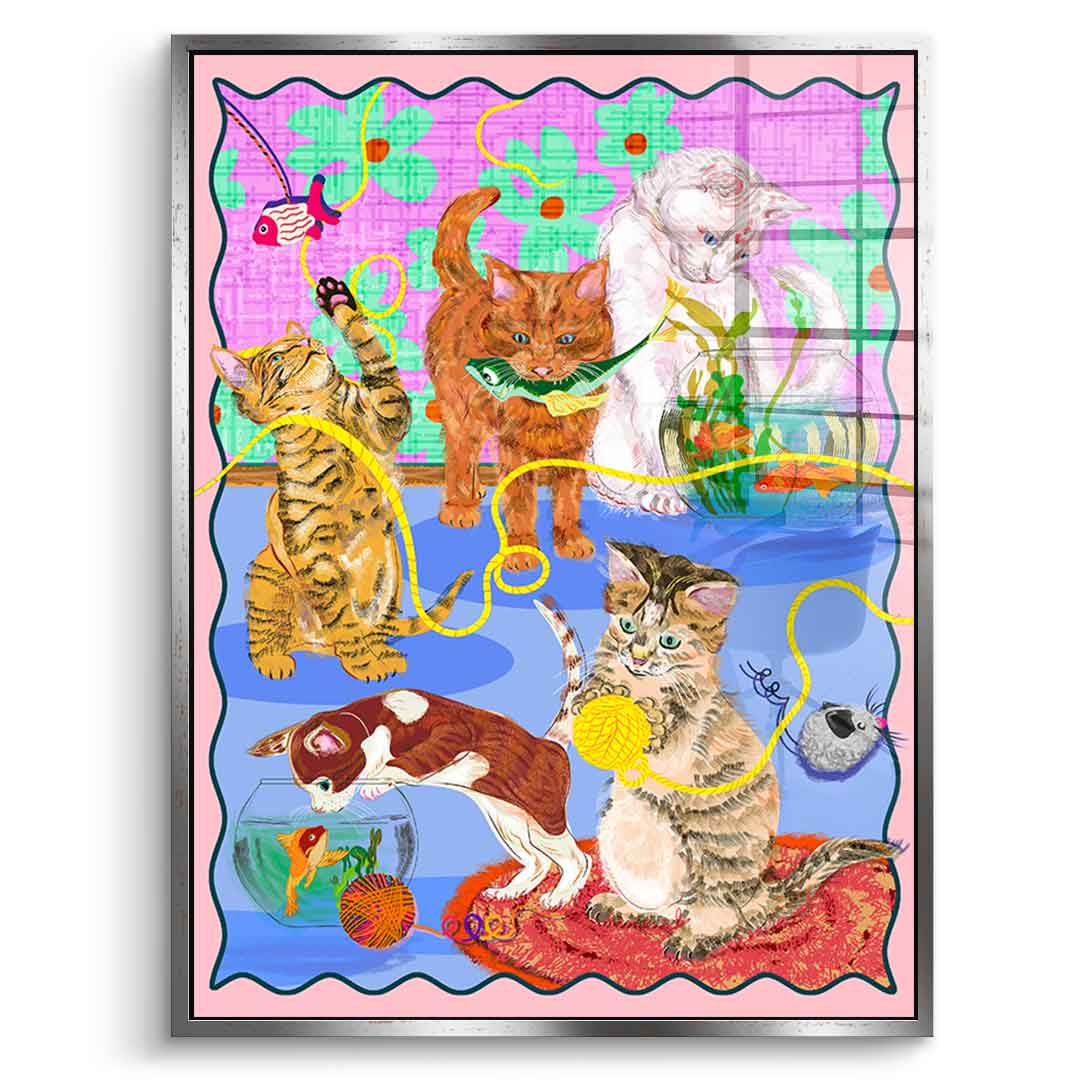 Kitten Playground - Pleksi