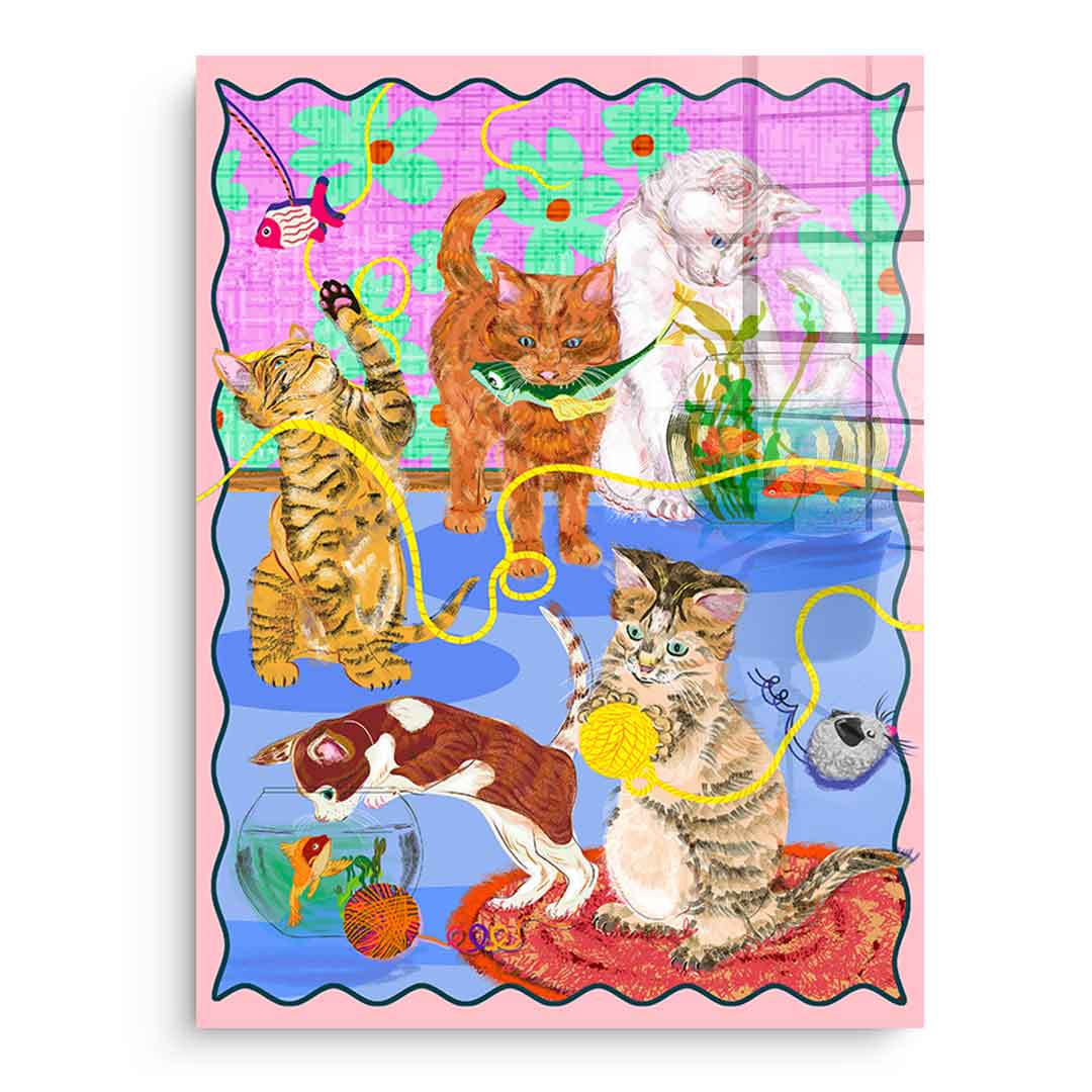 Kitten Playground - Pleksi