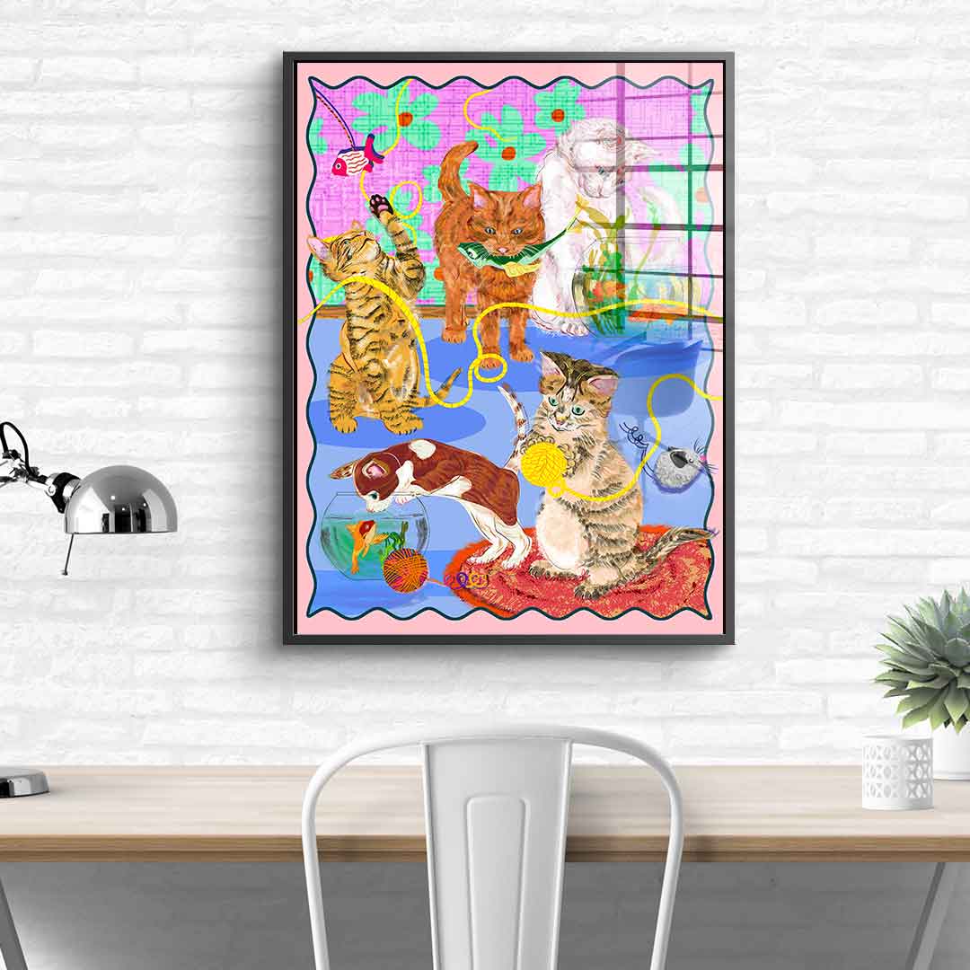 Kitten Playground - Pleksi