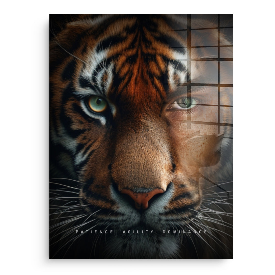 Tiger Fusion - Szkło akrylowe
