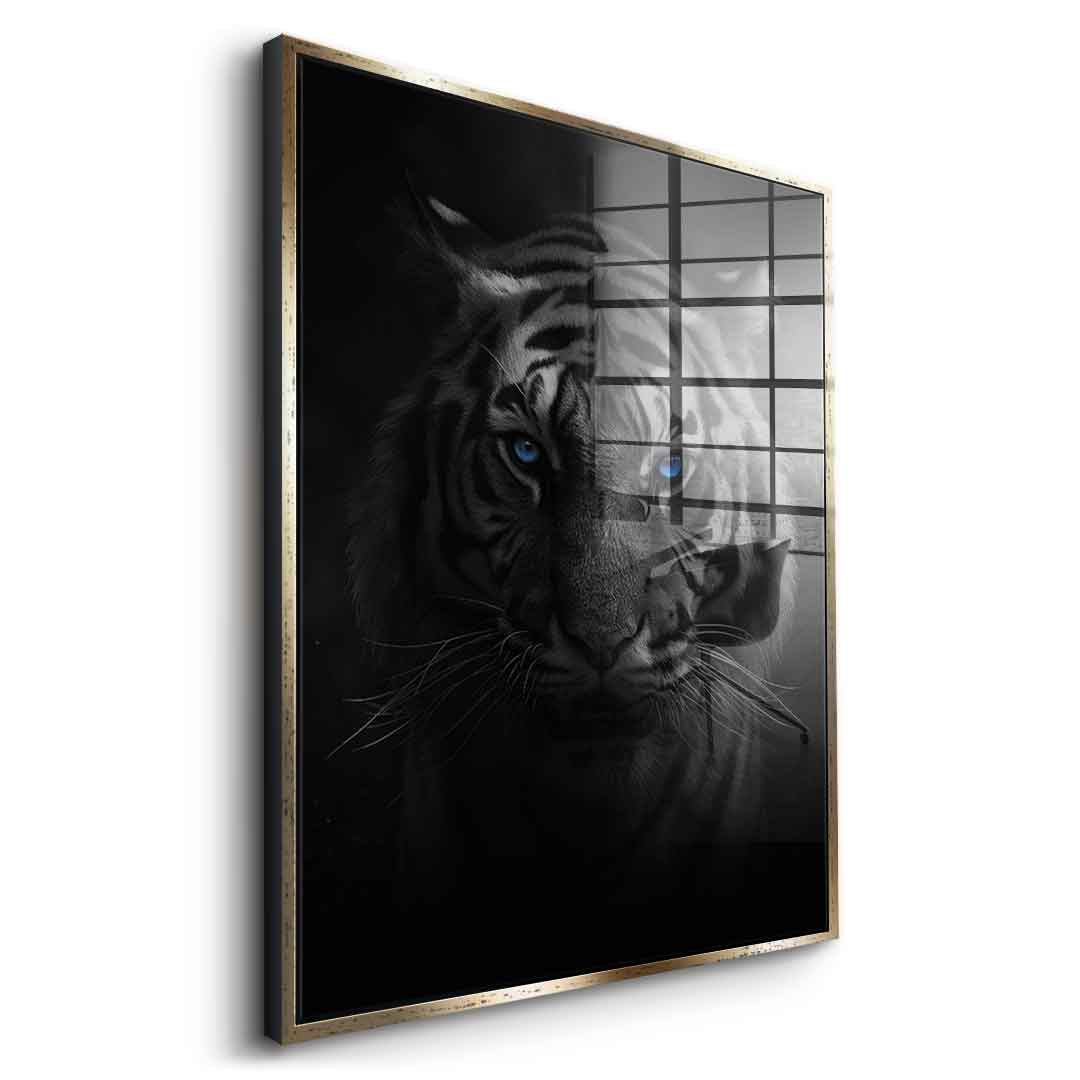 Tiger - Acrylglas