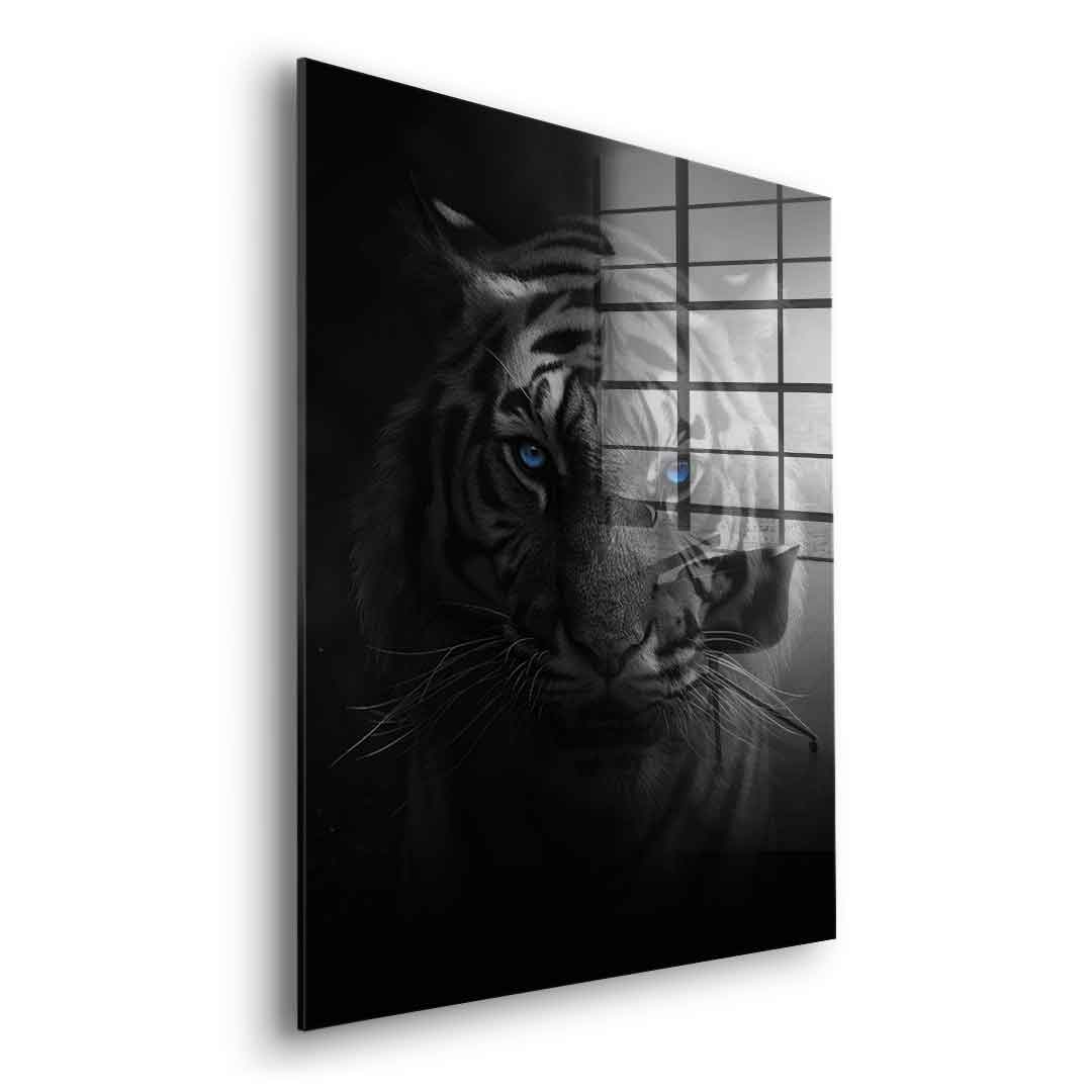 Tiger - Acrylglas