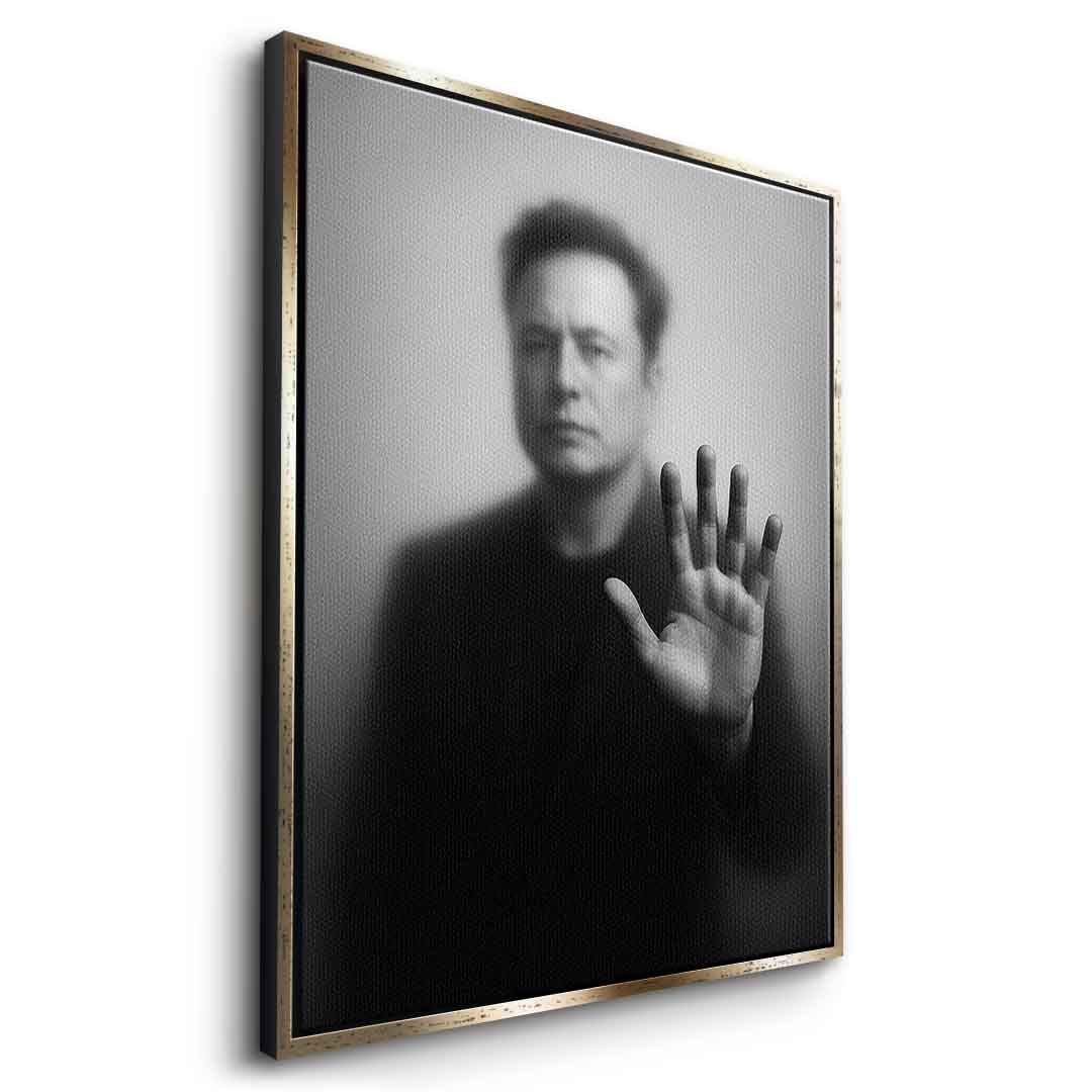 Musk's Silhouette
