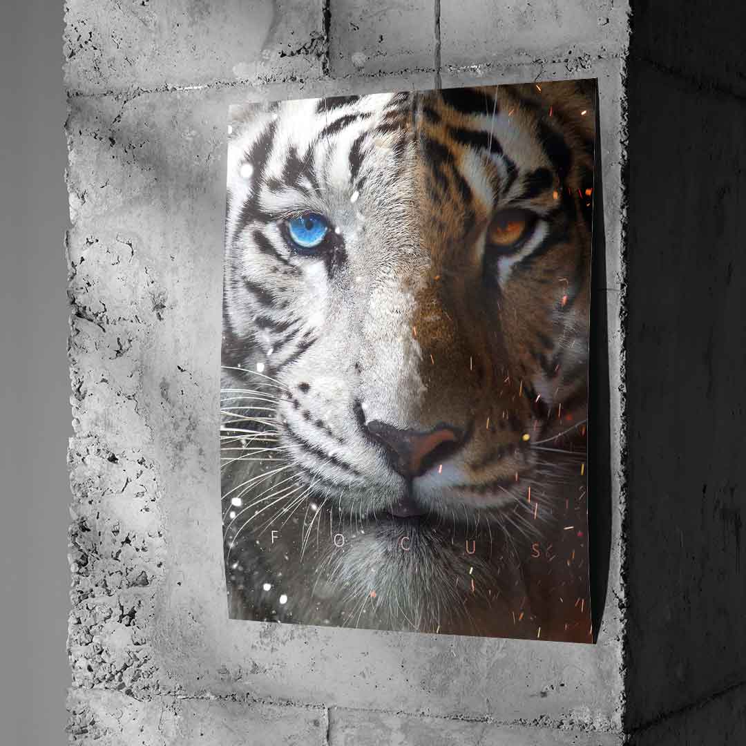 Focus Face - Poster