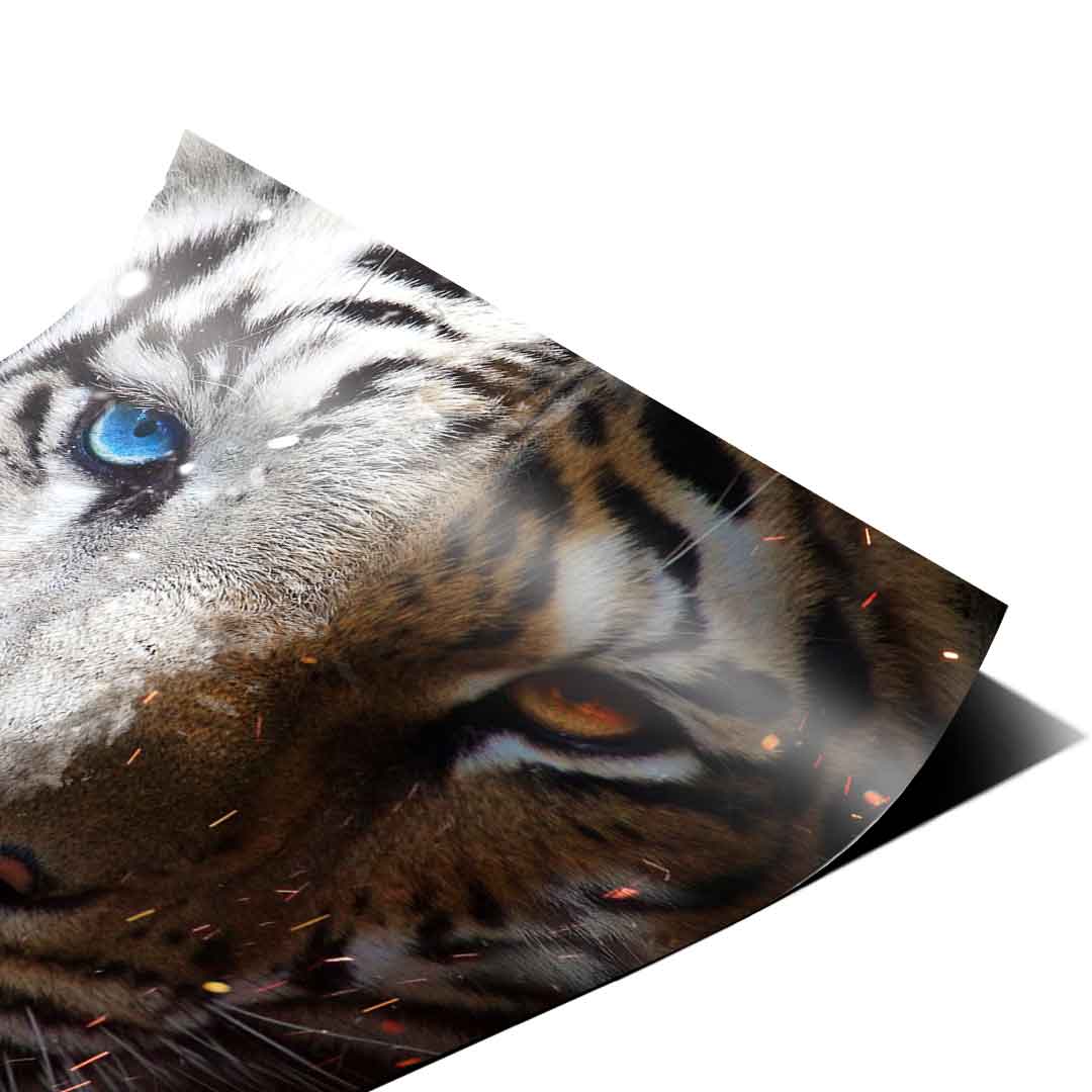 Focus Face - Poster