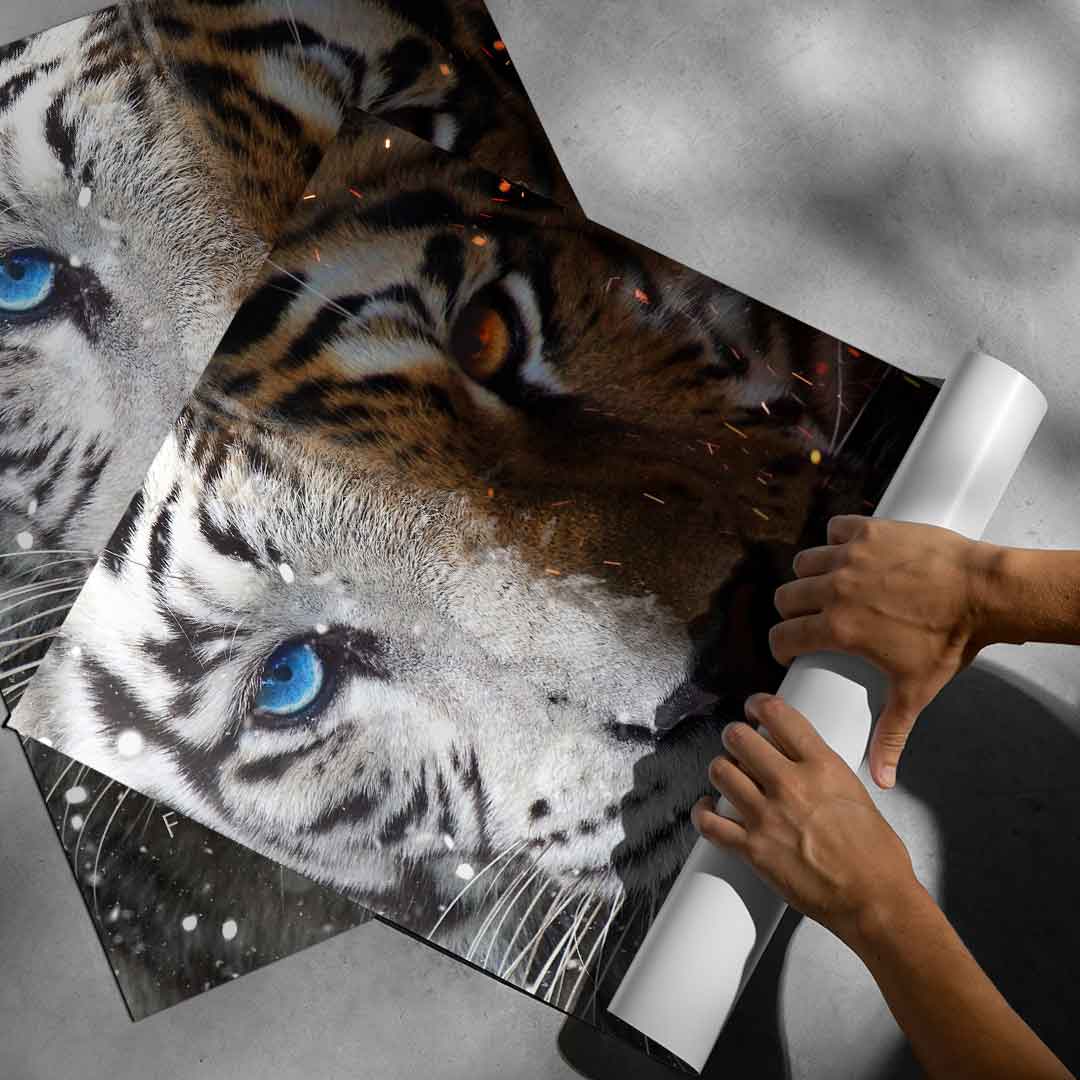 Focus Face - Poster