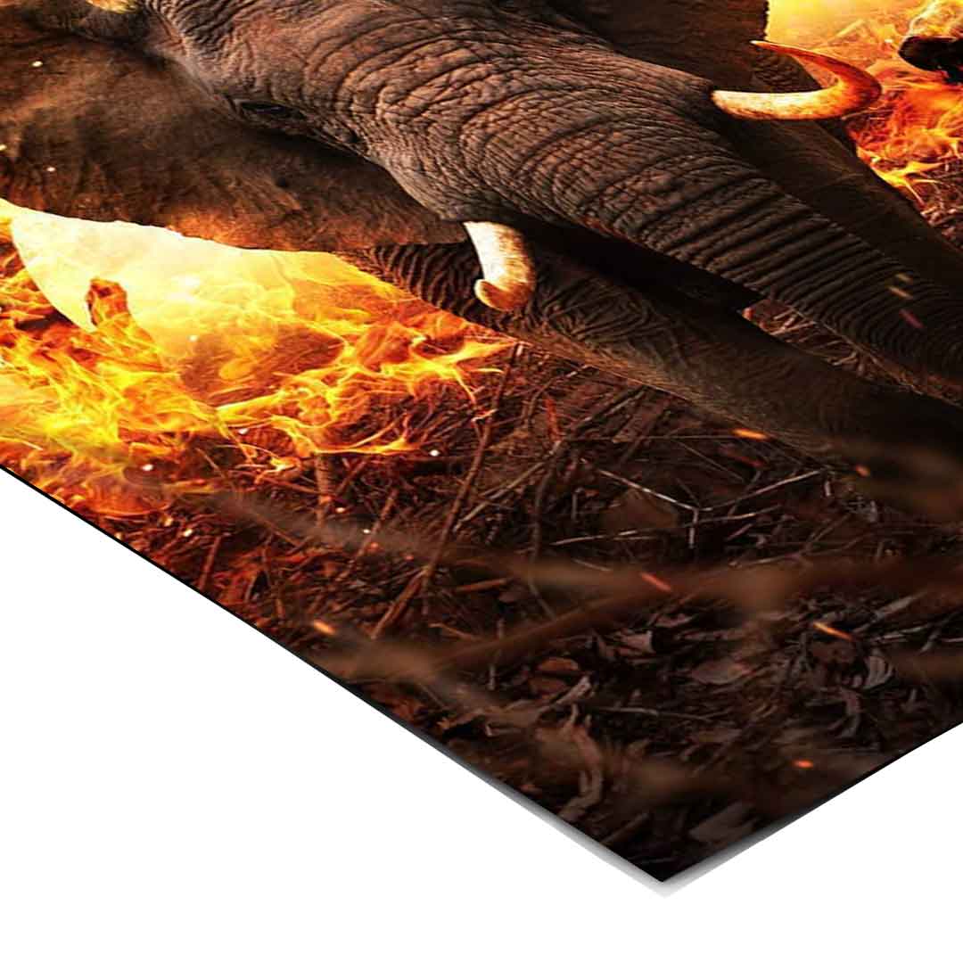 Hard Animal Life - Poster