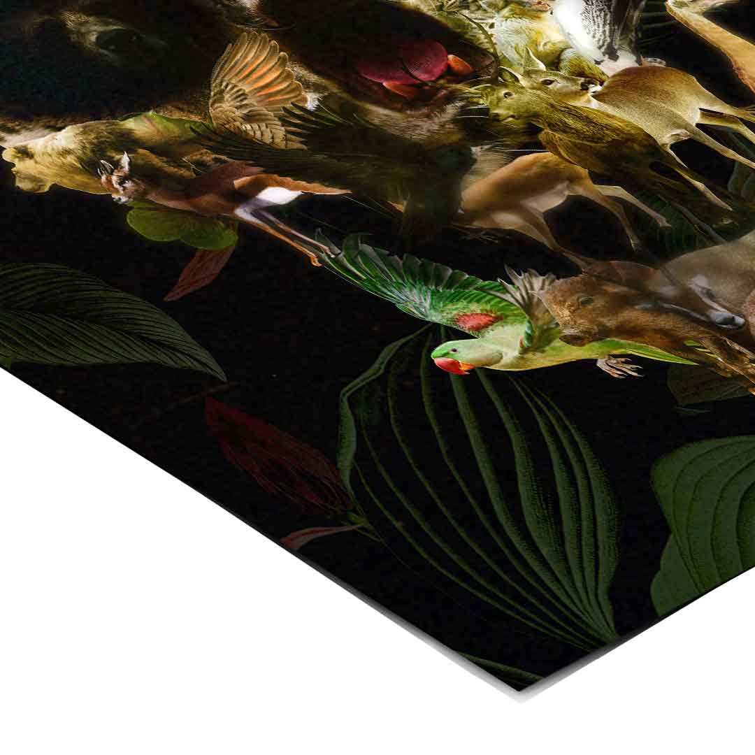 Kingdom Skull – Plakat