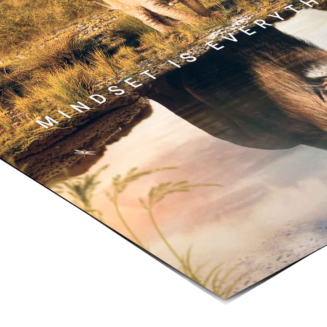 Nastawienie to wszystko #Afryka – Plakat