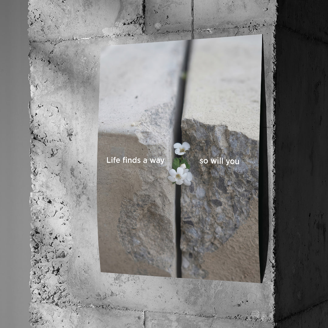 DOTCOMCANVAS Life finds a way Poster an Betonwand