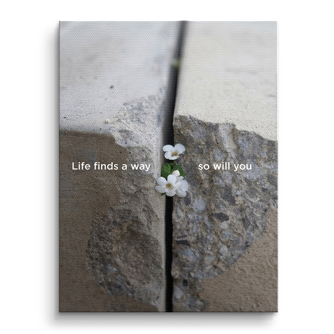 DOTCOMCANVAS Life finds a way Leinwandbild Vorderansicht ohne Rahmen