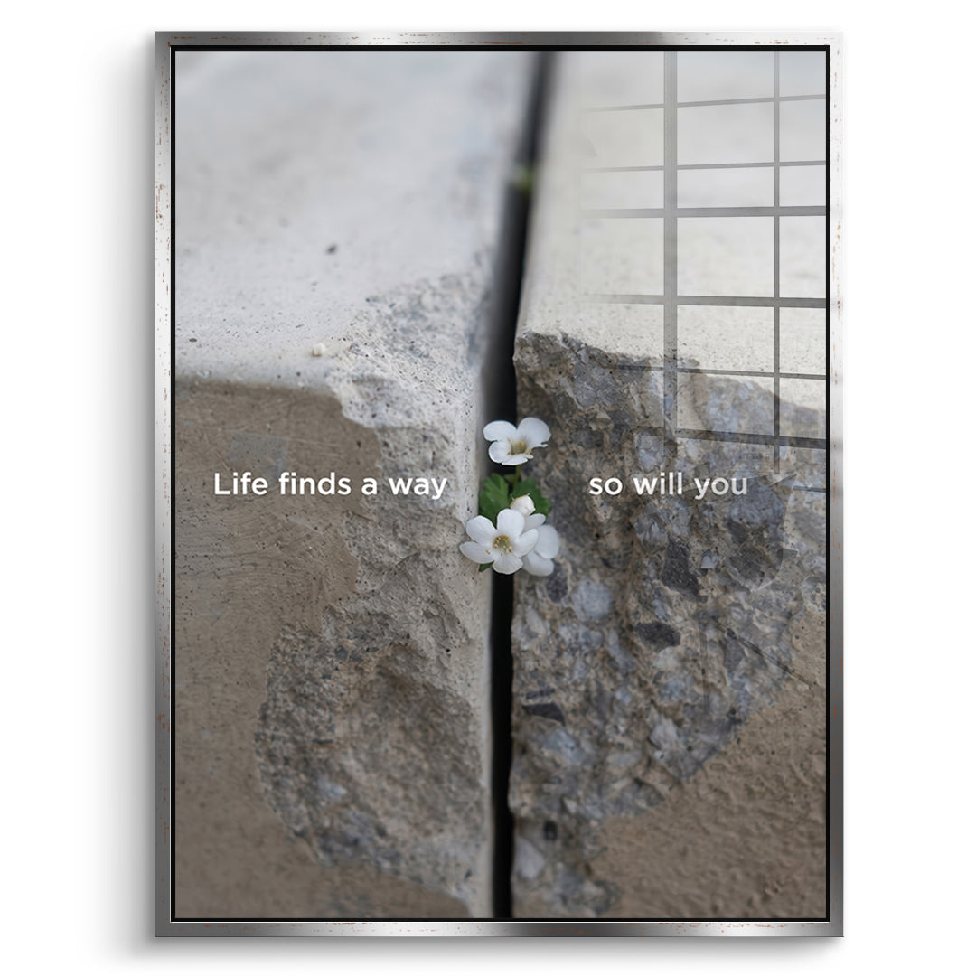 DOTCOMCANVAS Life finds a way Acrylglasbild Vorderansicht silberner Rahmen