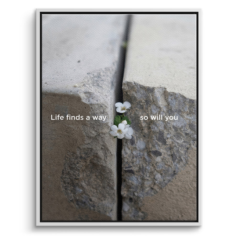 DOTCOMCANVAS Life finds a way Leinwandbild Vorderansicht weißer Rahmen