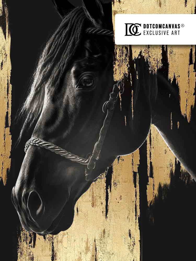 Luxury Horse - Acrylglas
