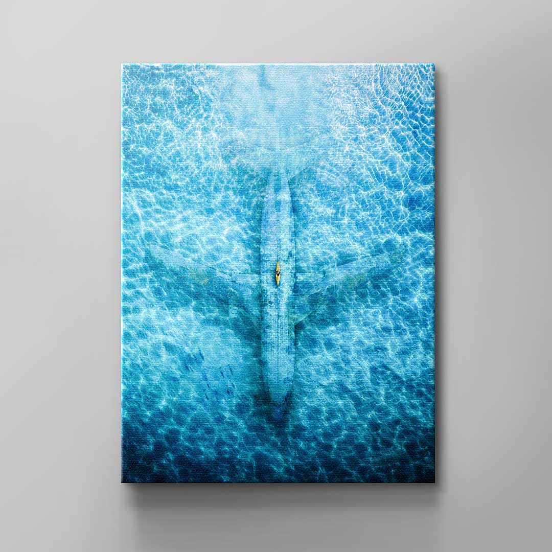 Underwater Plane