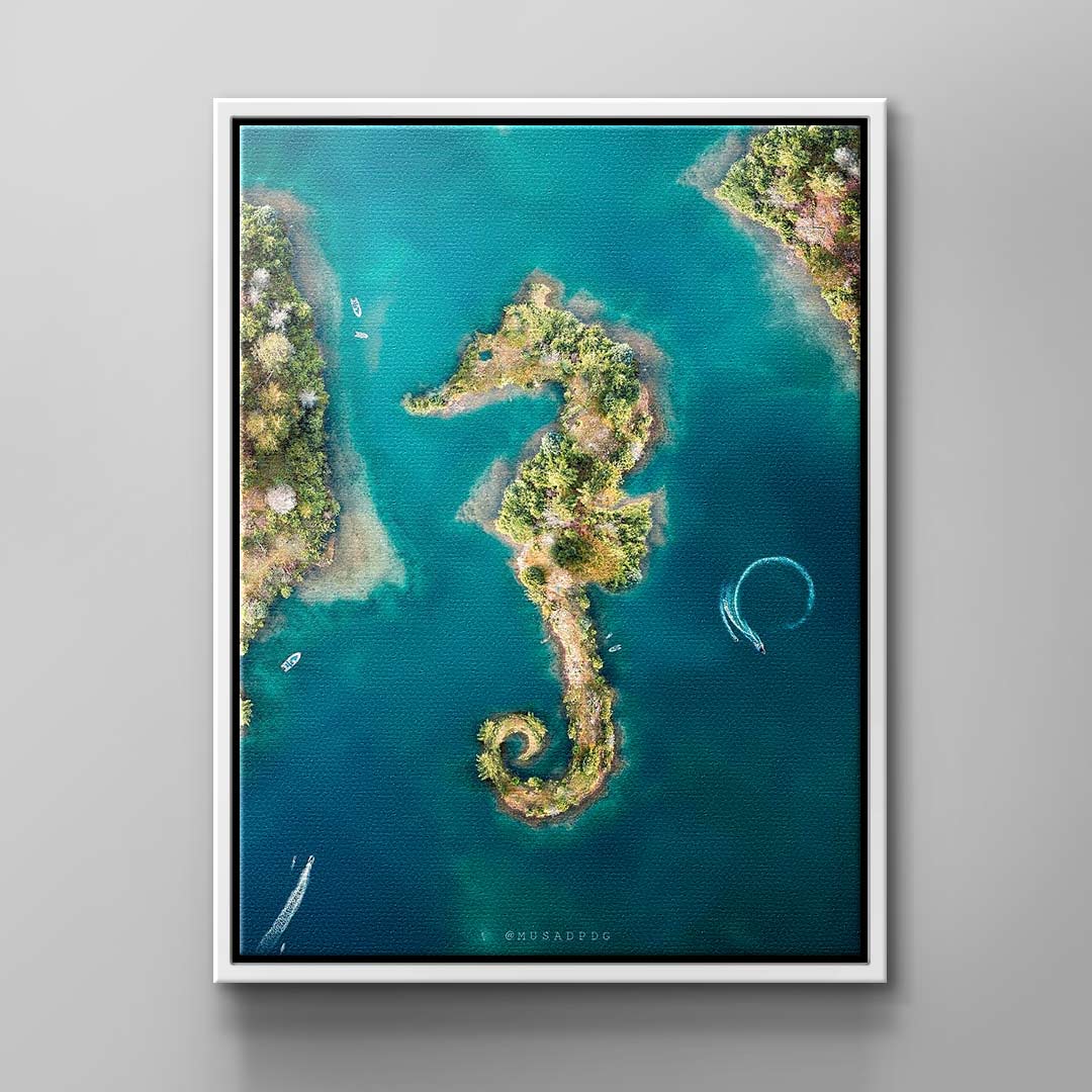 seahorse