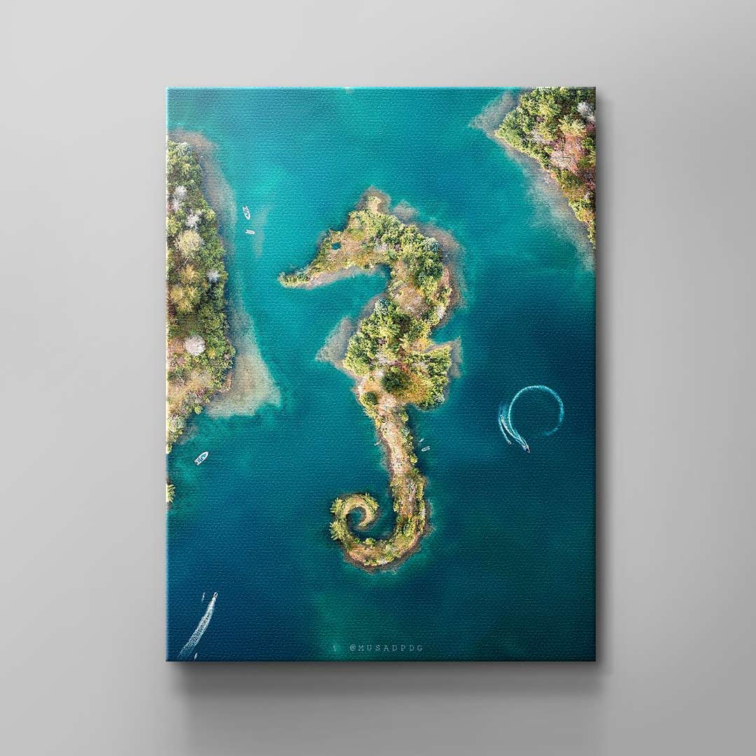 seahorse