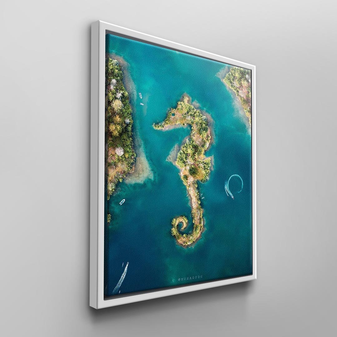 seahorse