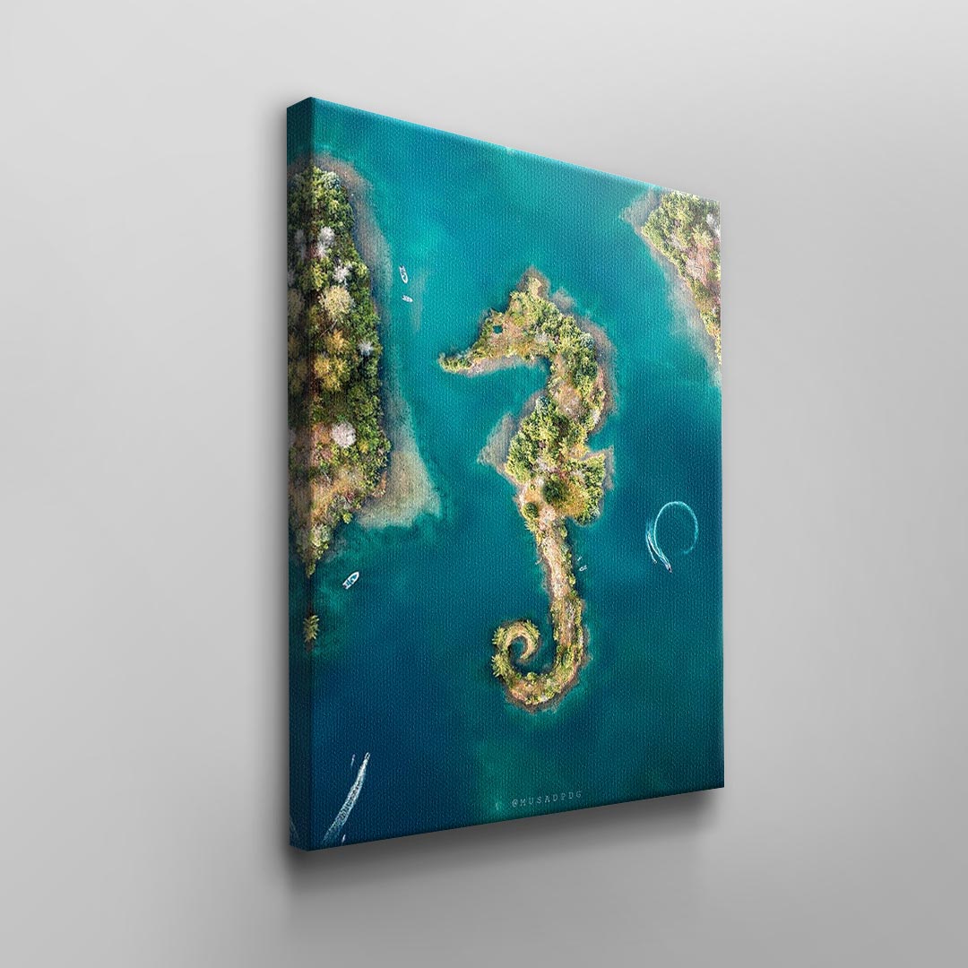 seahorse